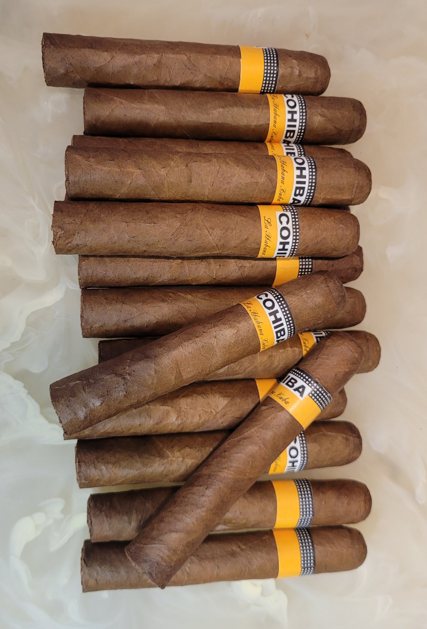 Cohiba Robustos